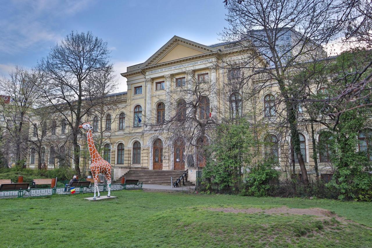 Oak - Piata Victoriei Apartamento