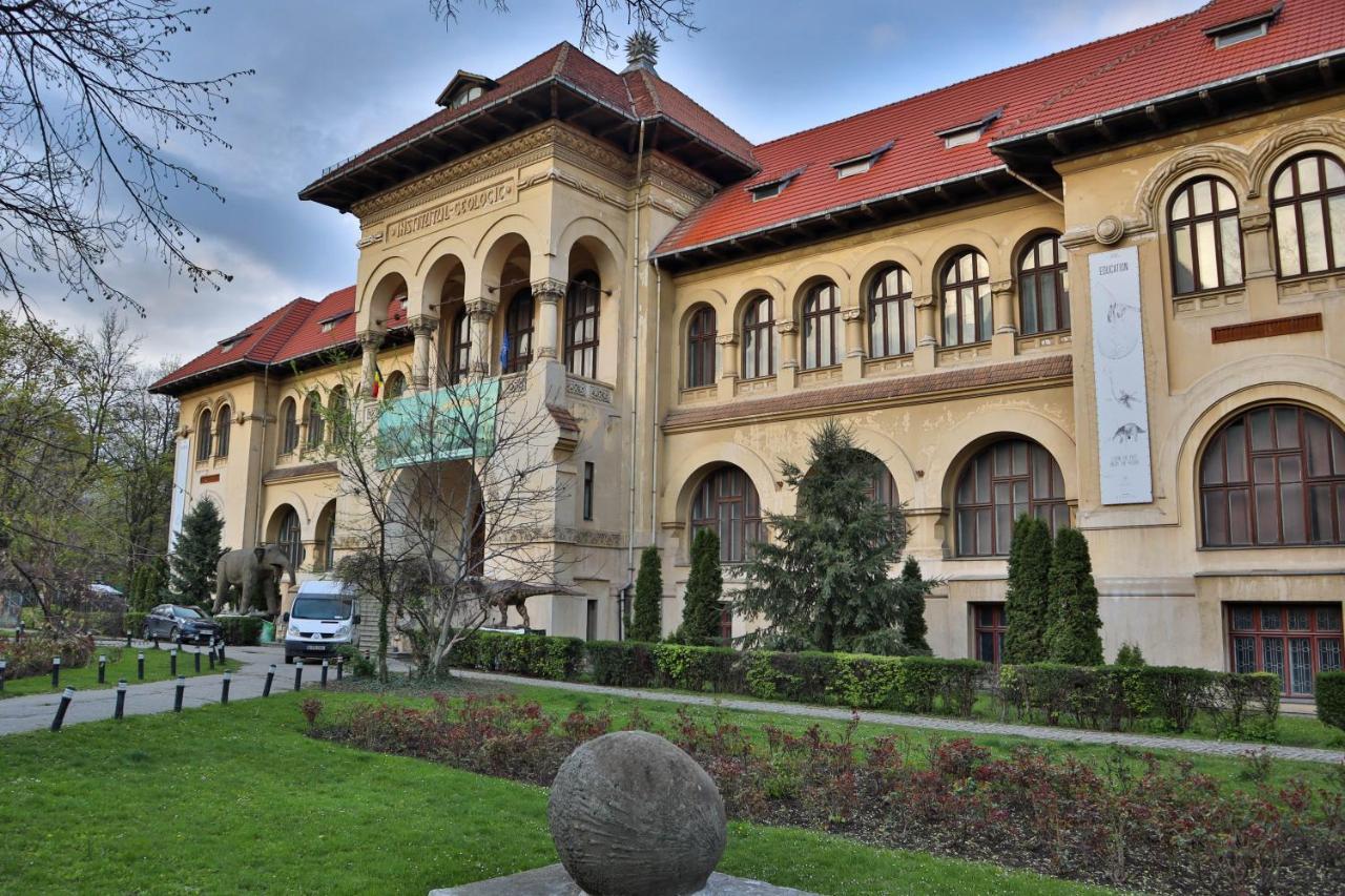 Appartement Oak - Piata Victoriei